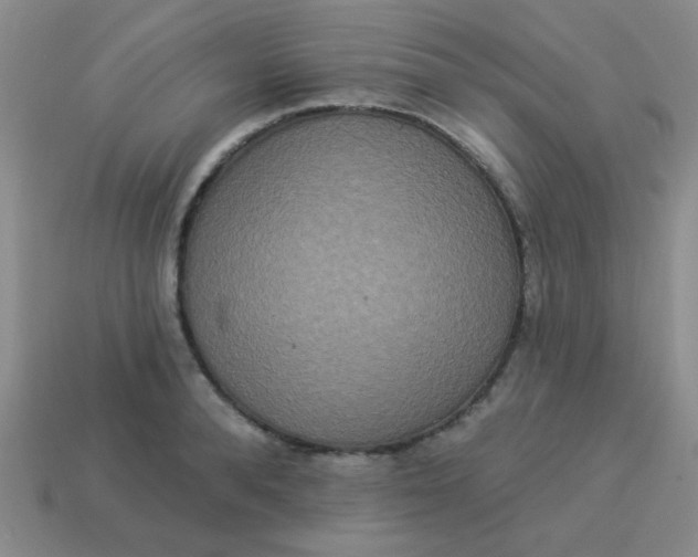 X0000113880896200910151311