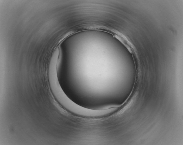 X0000113880897200910151311