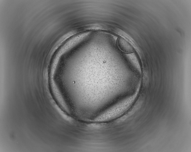 X0000113880898200910151311