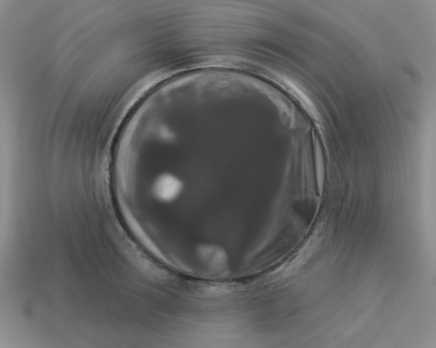 X0000113880899200910151311