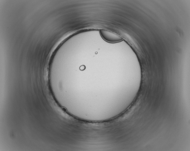 X0000113880900200910151311