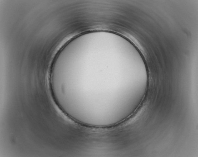 X0000113880901200910151311