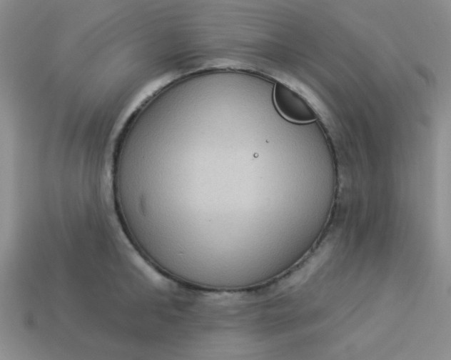 X0000113880902200910151311