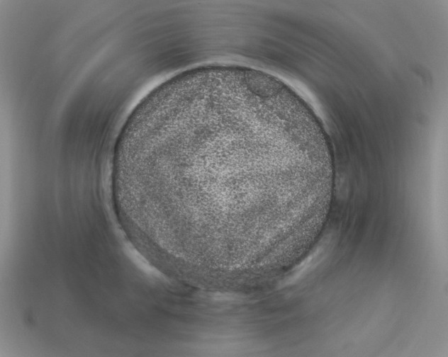 X0000113880903200910151311