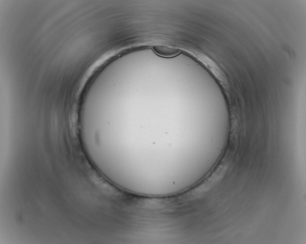 X0000113880904200910151311