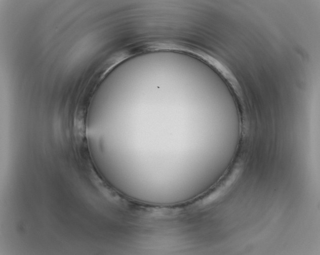 X0000113880905200910151311