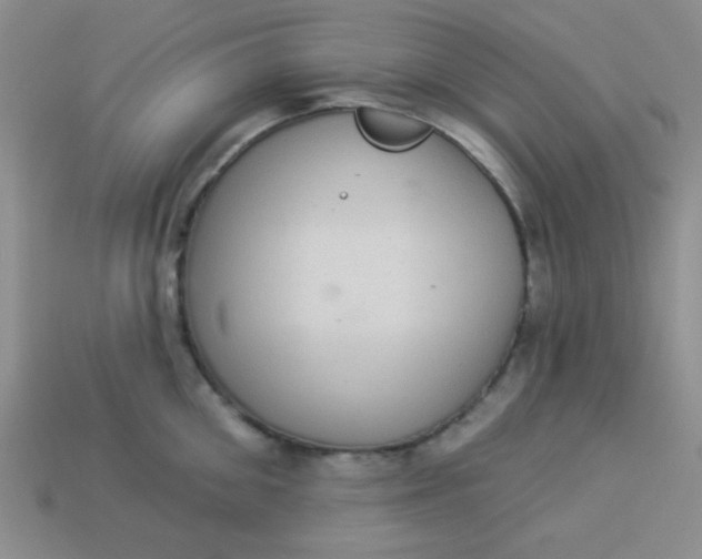 X0000113880906200910151311