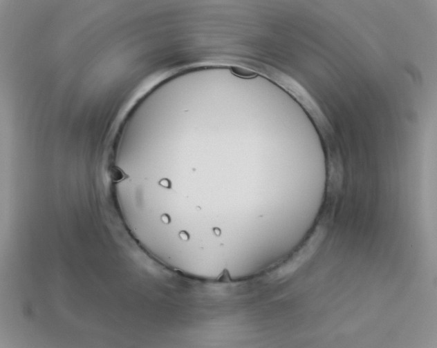 X0000113880908200910151310