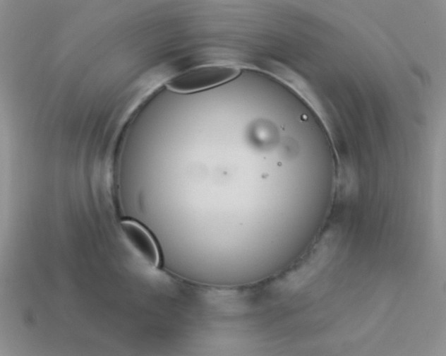 X0000113880909200910151310