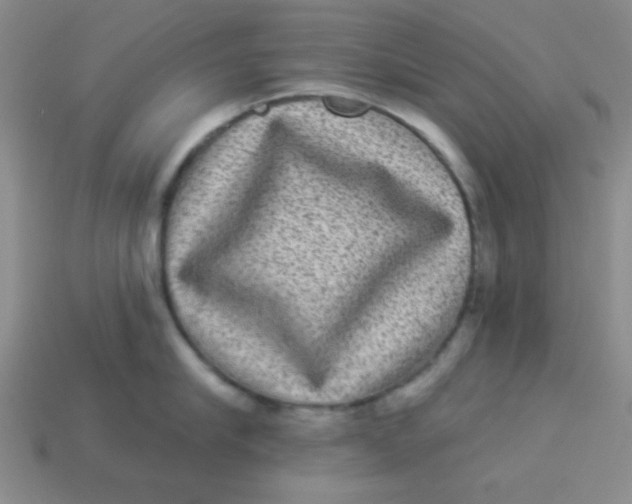 X0000113880910200910151310