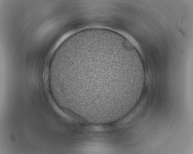 X0000113880911200910151310