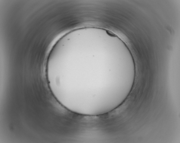 X0000113880912200910151310