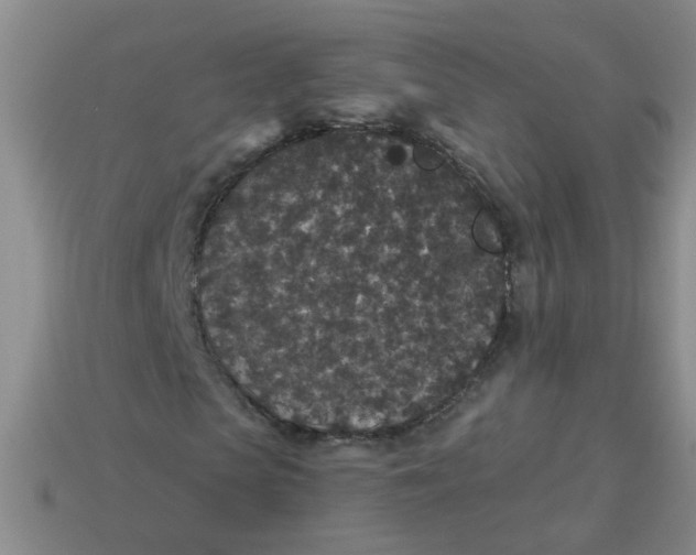 X0000113880913200910151310