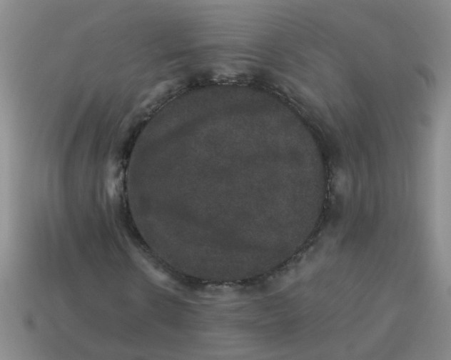 X0000113880914200910151310