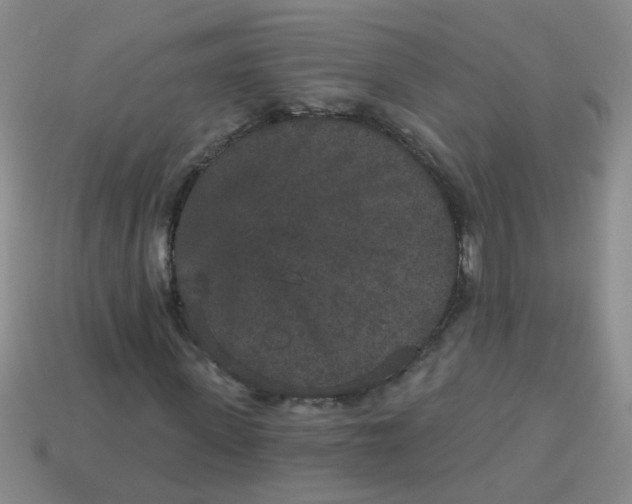 X0000113880915200910151310