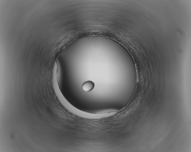 X0000113880916200910151310