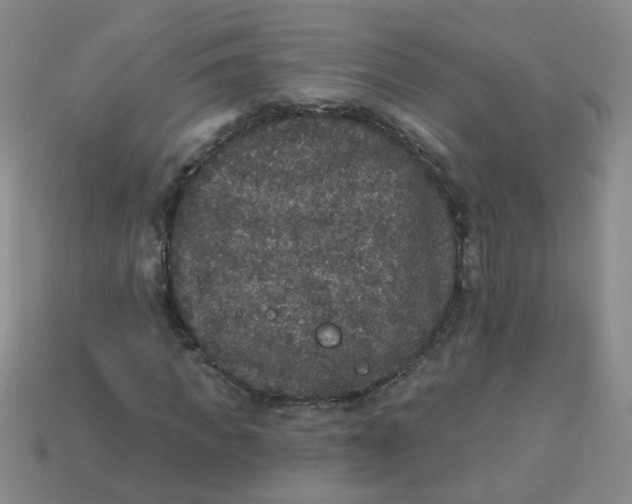 X0000113880917200910151310