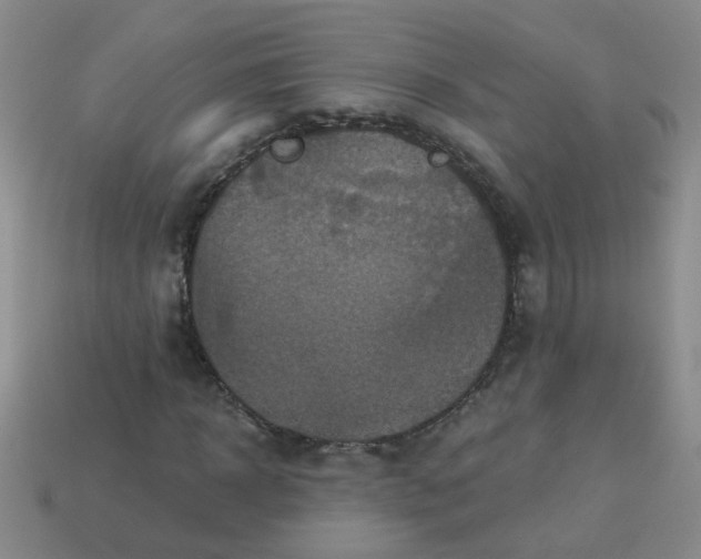 X0000113880918200910151310