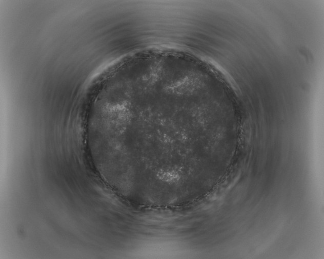 X0000113880919200910151310