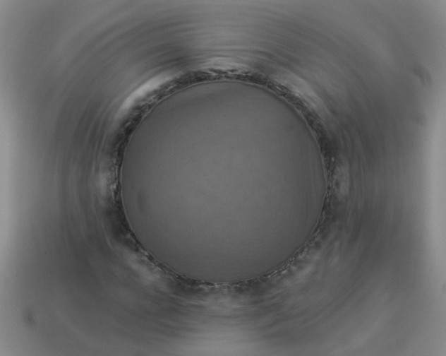 X0000113880920200910151310