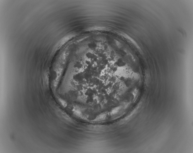 X0000113880921200910151310