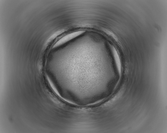 X0000113880922200910151310