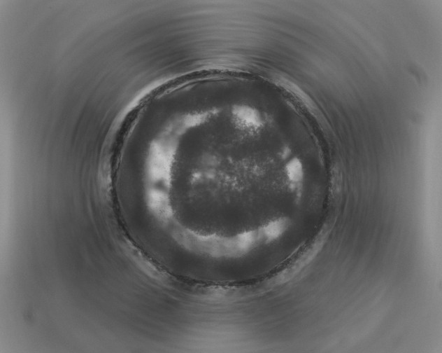 X0000113880923200910151310