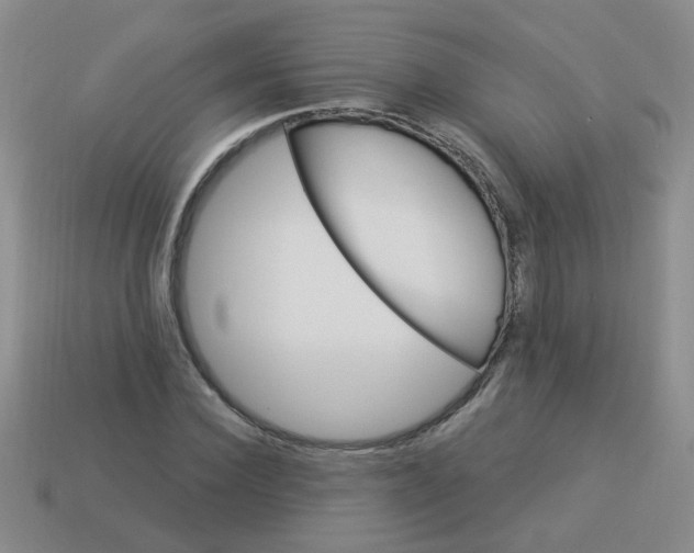 X0000113880924200910151310