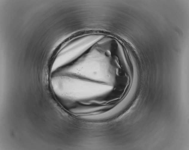 X0000113880925200910151310