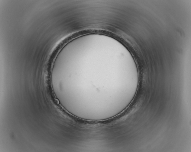 X0000113880926200910151310