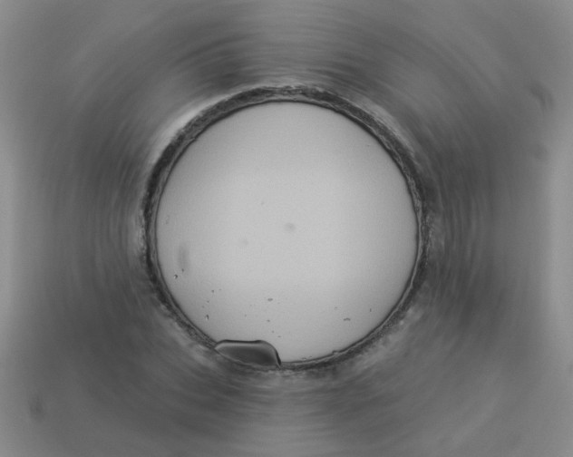 X0000113880927200910151310