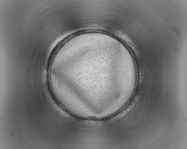 X0000113880928200910151310