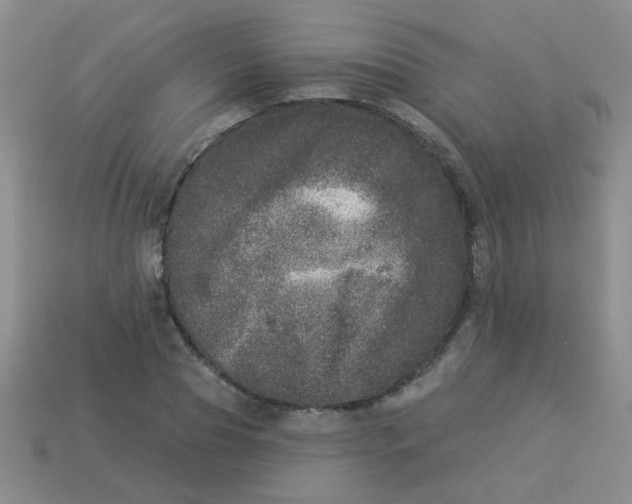 X0000113880929200910151310