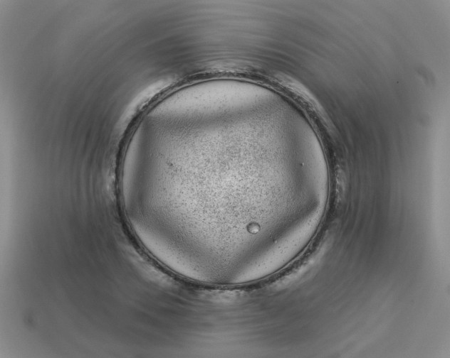 X0000113880930200910151310