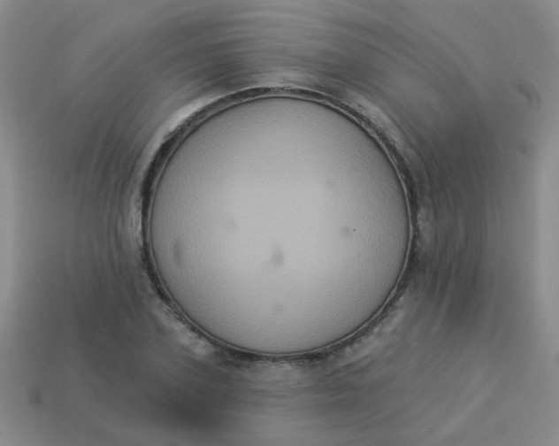 X0000113880931200910151310