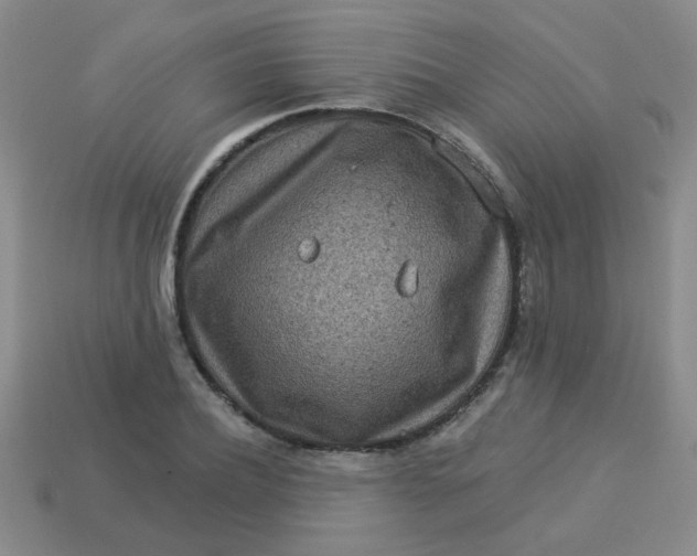 X0000113880932200910151310