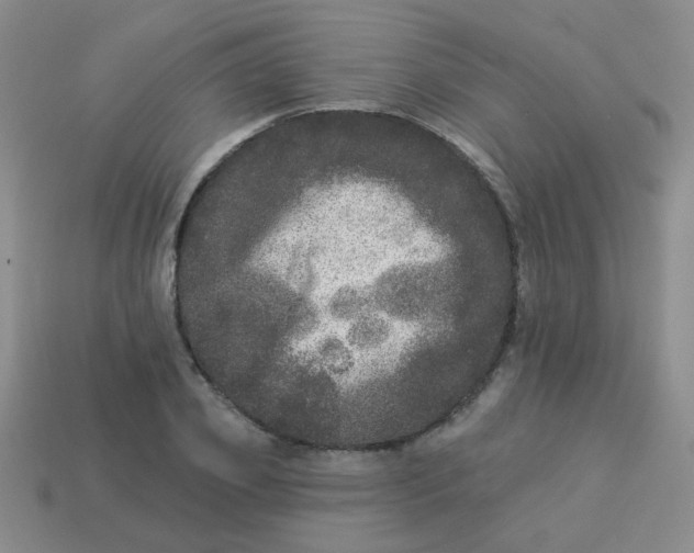 X0000113880933200910151310