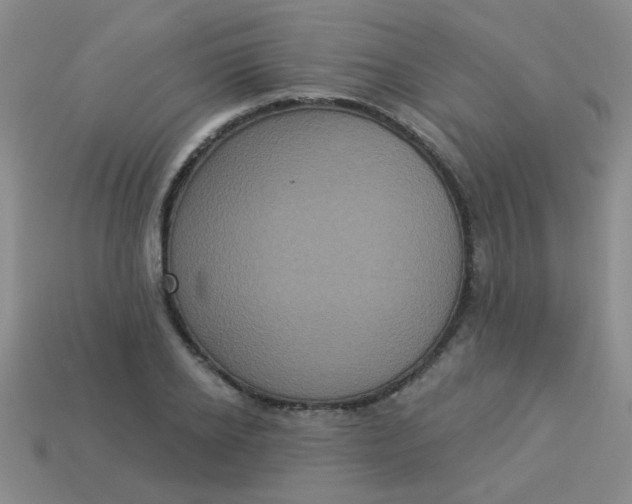 X0000113880934200910151310