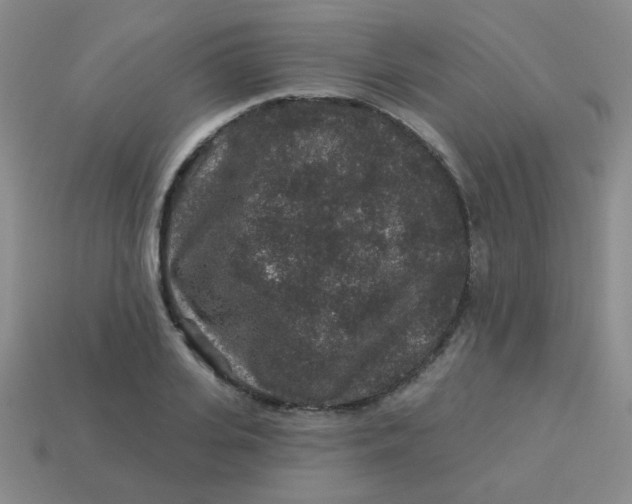 X0000113880935200910151310