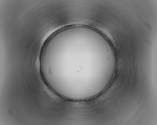 X0000113880936200910151310