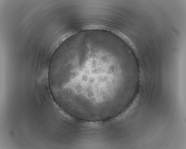 X0000113880937200910151310