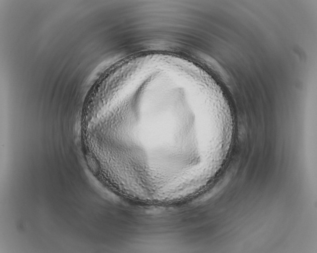 X0000113880938200910151310