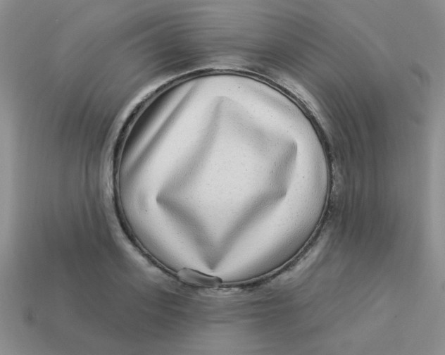 X0000113880939200910151310