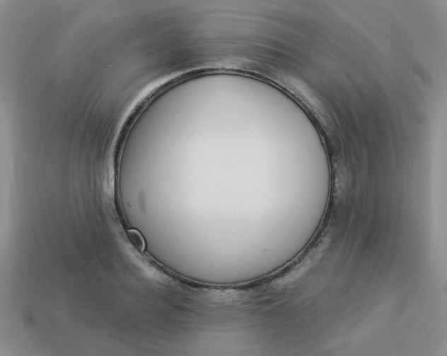 X0000113880940200910151310