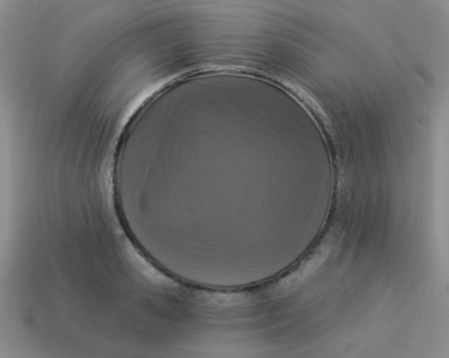 X0000113880941200910151310