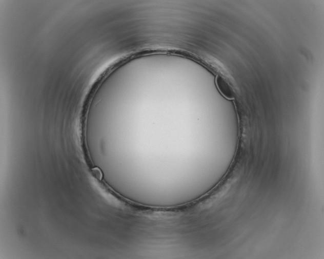 X0000113880942200910151310