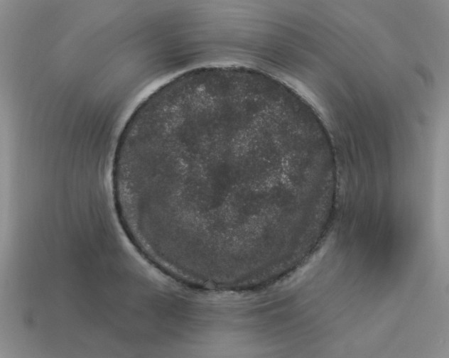 X0000113880943200910151310