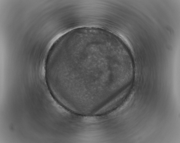 X0000113880944200910151310