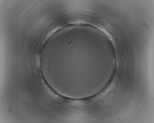 X0000113880945200910151310