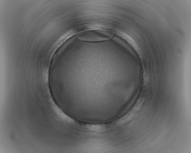 X0000113880946200910151310